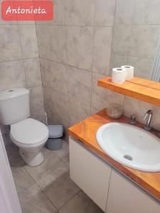 a bathroom with a toilet and a sink at Cabañas Antonieta in Salta