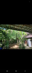 a view of a garden with trees and a building at One Love Homestay in Jimbaran