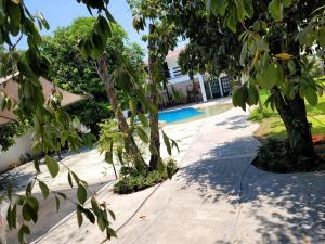 une allée avec des arbres et une piscine dans l'établissement Casa de campo Amapolas, à Treinta