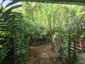 a garden with a bunch of trees and plants at One Love Homestay in Jimbaran