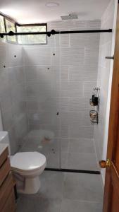 een badkamer met een toilet en een douchecabine bij LILI in Cartagena