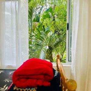 a bed with a red pillow in front of a window at Xixova Hostel Japui são Vicente in Praia Grande