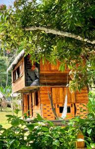 una casa sull'albero in legno con finestra su un albero di Casa Alma a Capurganá