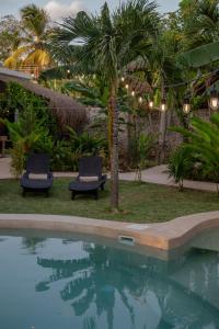 a pool with two chairs and a palm tree at Casa Cactus Buenavista in Bacalar