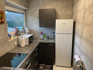 uma cozinha com um frigorífico branco e um lavatório em Appartement cosy 29 m2 à 5 min Basel parking gratuit em Saint-Louis