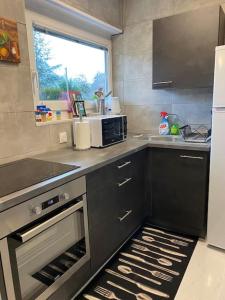 uma cozinha com um fogão e um micro-ondas em Appartement cosy 29 m2 à 5 min Basel parking gratuit em Saint-Louis