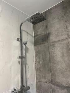 um chuveiro com uma porta de vidro na casa de banho em Appartement cosy 29 m2 à 5 min Basel parking gratuit em Saint-Louis