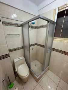 een kleine badkamer met een toilet en een douche bij Lima ciudad de los reyes in Lima