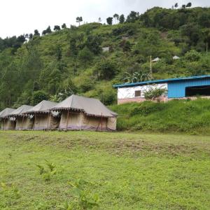 un groupe de tentes dans un champ à côté d'une colline dans l'établissement GREEN VALLEY CAMPING & ADVENTURE, à Nainital