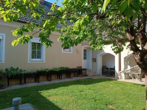 a house with a row of chairs in the yard at Edelsbacher Ferienwohnung in Edelsbach bei Feldbach