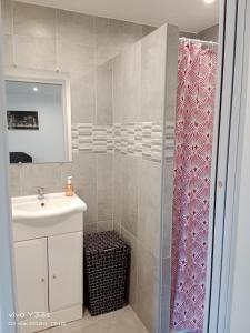 ein Bad mit einem Waschbecken und einer Dusche in der Unterkunft Studio HELTYMIE 4-Vélos bienvenus-parking gratuit in Portiragnes