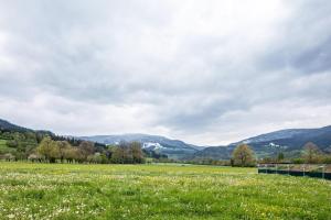 a field of grass with mountains in the background at Ferienwohnung Kühn in Kirchzarten