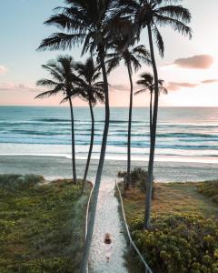 ゴールドコーストにあるシェラトン グランド ミラージュ リゾート ゴールド コーストの椰子の木が生える浜辺の小道を歩く女