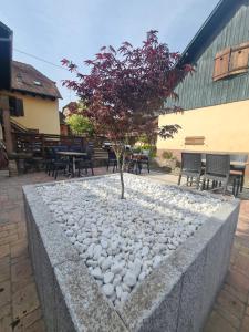 a small tree in a stone planter with rocks at Gîte et Chambres d'hôtes, l'Erable in Beblenheim