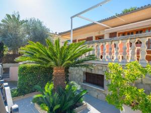 a palm tree in front of a building at North House - House In Platja De Muro Free Wifi in Playa de Muro