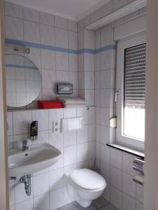 a bathroom with a toilet and a sink and a mirror at Pension Breidbach in Ensch