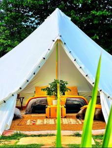 CAYORETREAT LUXURY BELL TENT外面的花园