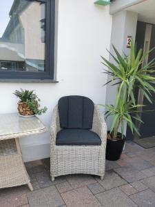uma cadeira de vime sentada num pátio com duas plantas em Apartment bei der Palme mit Sauna Möglichkeit em Dusseldorf