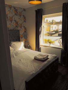 Легло или легла в стая в Dublin canal side