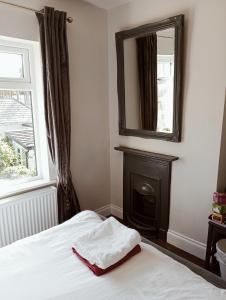 1 dormitorio con 1 cama con chimenea y espejo en Dublin canal side, en Dublín