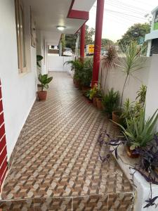 um corredor de uma casa com vasos de plantas em North Star Home Stay Mysore em Mysore