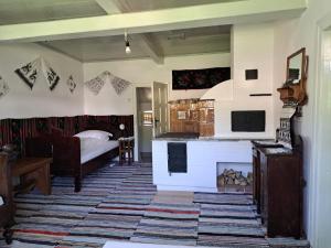 a living room with a bed and a fireplace at Casa Felicia in Suceviţa