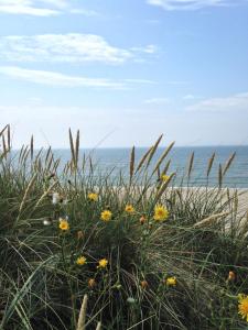 ヴェニングシュテットにあるPuschmann App. 26の浜辺草花畑