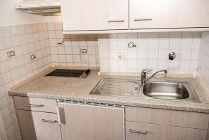 Kuchyň nebo kuchyňský kout v ubytování Appartement-Puschmann