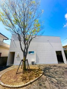 a tree in a circle in front of a building at Nexus Ishinomakiokaidou in Ishinomaki