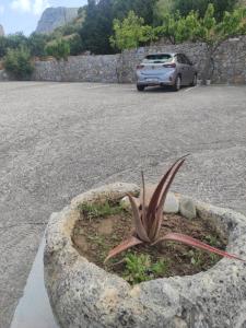 Fotografie z fotogalerie ubytování Chrisanthi Studios & Apartments v destinaci Plakias