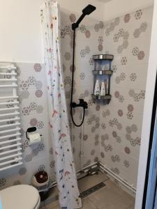 a bathroom with a shower curtain and a toilet at Tiny House Stefana with garden in Transylvania 