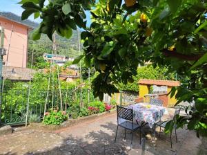 un tavolo e sedie in un giardino sotto un albero di Affittacamere Antonella a Monterosso al Mare