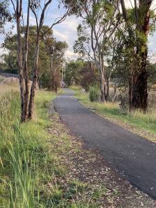 アーミデールにあるHouse on New England Hwyの畑の脇に木々が生い茂るアファルト道路 +13枚の写真