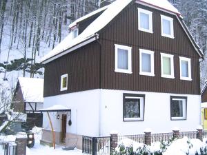 ein Haus mit schwarzem Dach im Schnee in der Unterkunft Spacious group house in the Harz region in Zorge