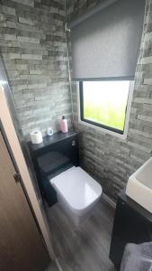 a bathroom with a white toilet and a window at 238 Arran View, Craig Tara Holiday Park in Ayr