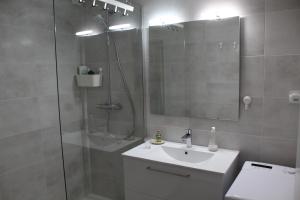 カルノン・プラージュにあるBel appartement spatieuxの洗面台と鏡付きシャワーを備えたバスルーム +7枚の写真