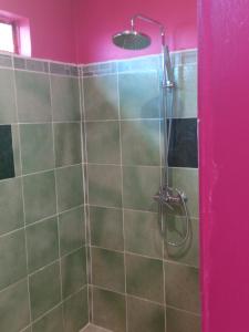 een douche in een badkamer met een roze muur bij CHEZ ALIZHIA in Nuku Hiva