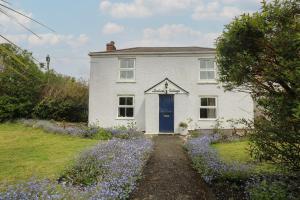 een wit huis met een blauwe deur en paarse bloemen bij Incline Cottage in Portreath