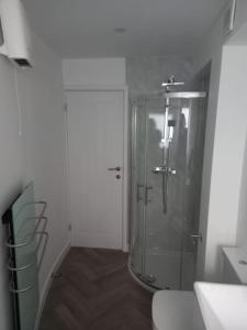 a bathroom with a shower with a glass door at Southend Airport Ground Floor Studio, with parking in Southend-on-Sea