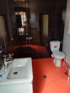 a bathroom with a sink and a toilet at Семеен хотел МАРС in Troyan