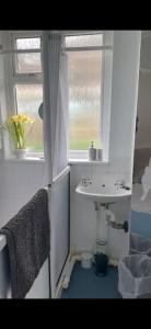 a bathroom with a sink and a window at Deep in the valleys 