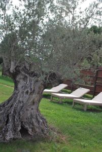 Zahrada ubytování B&B Cuor Di Lavanda