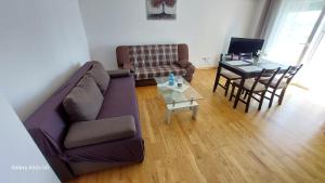 TV a/nebo společenská místnost v ubytování Apartmani Relax