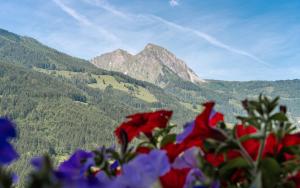 un ramo de flores frente a una montaña en am mühlbach - einfach sein, en Dorfgastein