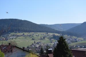 Gallery image of Ferienhaus Günter in Baiersbronn