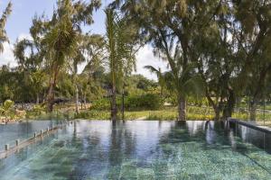 uma piscina com palmeiras e água em Ocean Grand Gaube em Grand Gaube