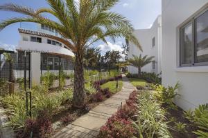 a palm tree in front of a building at Ocean Grand Gaube by Host Agents in Grand Gaube