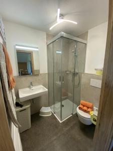 een badkamer met een douche, een toilet en een wastafel bij Nussbaumer am Irrsee in Tiefgraben