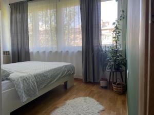 een slaapkamer met een bed en een groot raam bij Wild Green in Sarajevo