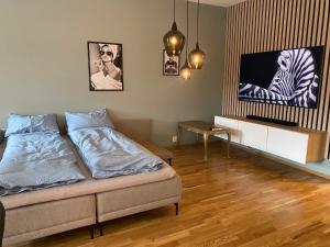 sala de estar con cama y TV de pantalla plana en Strøken leilighet inkl parkeringskjeller., en Trondheim